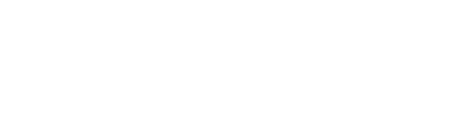 BlueLeaders-logo